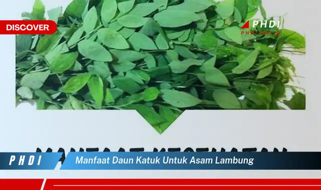 manfaat daun katuk untuk asam lambung