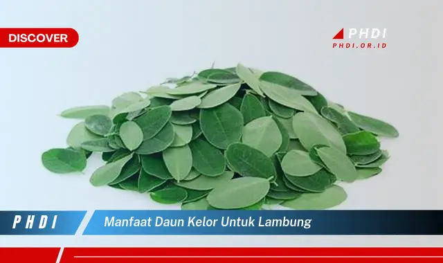 manfaat daun kelor untuk lambung