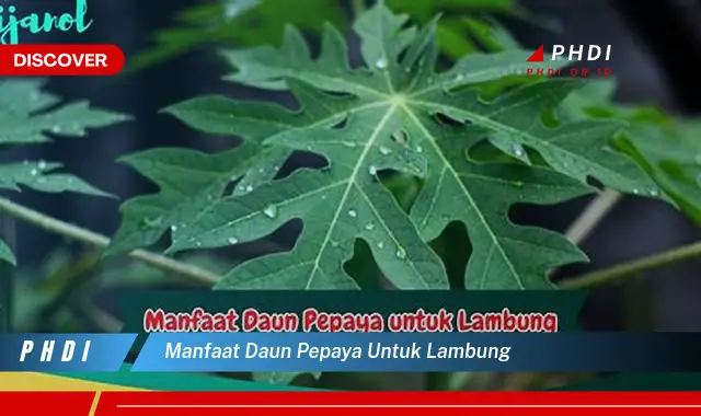 manfaat daun pepaya untuk lambung