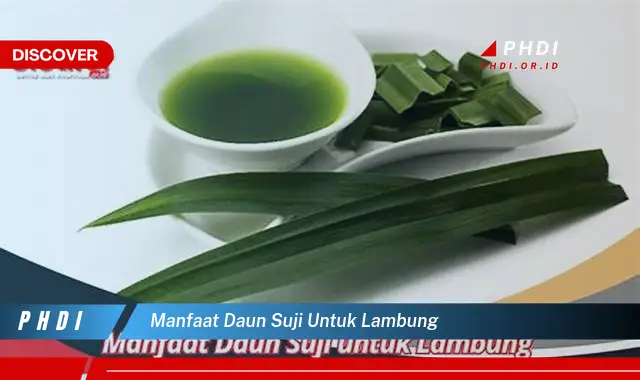 manfaat daun suji untuk lambung