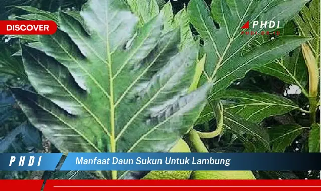 manfaat daun sukun untuk lambung