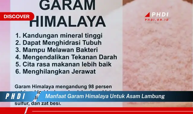 manfaat garam himalaya untuk asam lambung