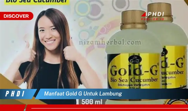 manfaat gold g untuk lambung