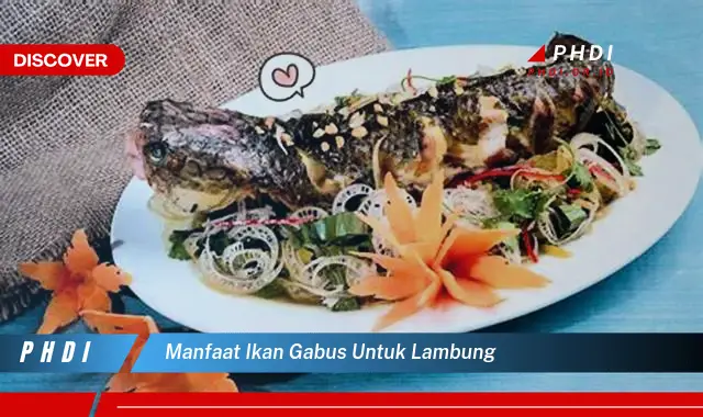 manfaat ikan gabus untuk lambung