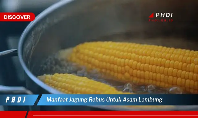 manfaat jagung rebus untuk asam lambung