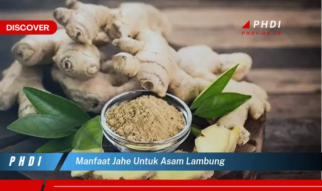 manfaat jahe untuk asam lambung