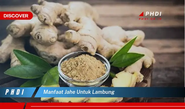 manfaat jahe untuk lambung