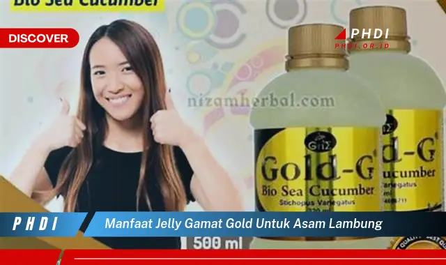 manfaat jelly gamat gold untuk asam lambung