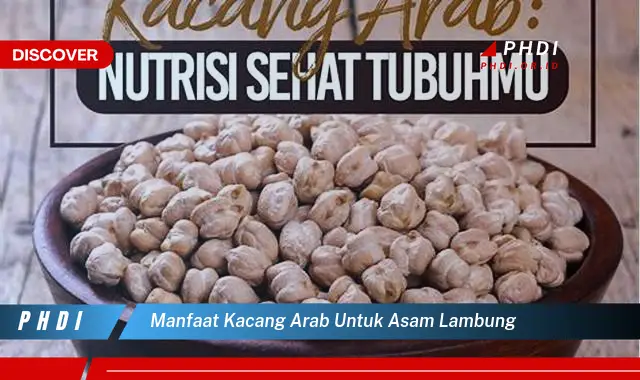 manfaat kacang arab untuk asam lambung