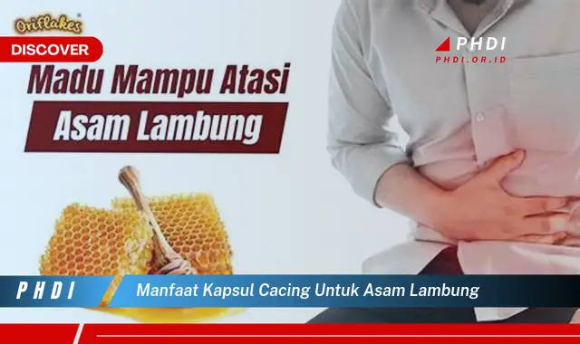 manfaat kapsul cacing untuk asam lambung