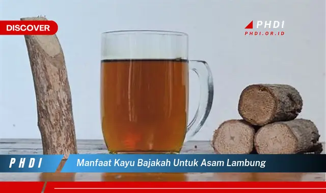 manfaat kayu bajakah untuk asam lambung