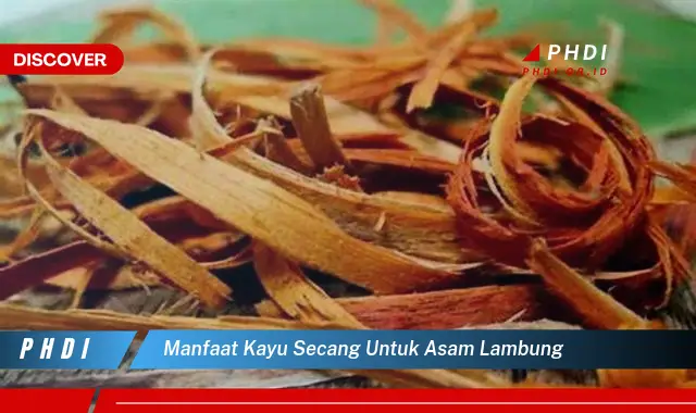 manfaat kayu secang untuk asam lambung