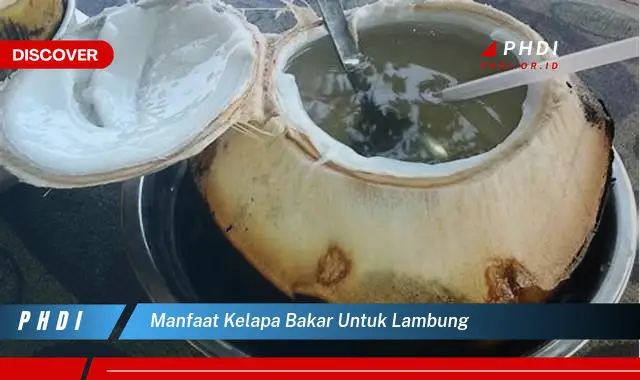 manfaat kelapa bakar untuk lambung