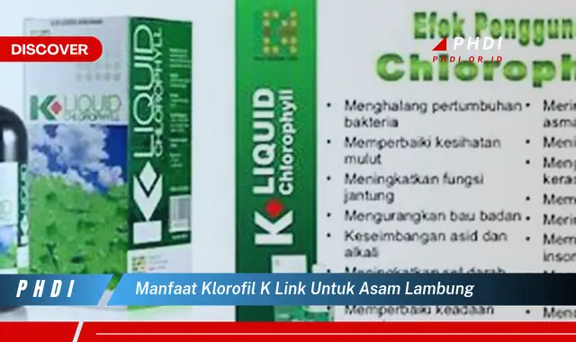 manfaat klorofil k link untuk asam lambung