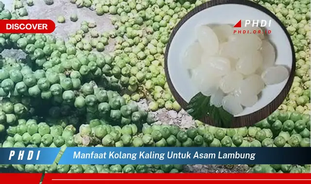 manfaat kolang kaling untuk asam lambung