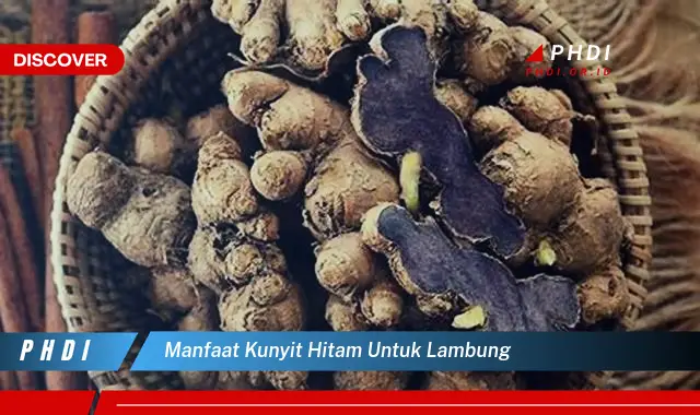 manfaat kunyit hitam untuk lambung