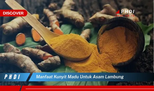 manfaat kunyit madu untuk asam lambung