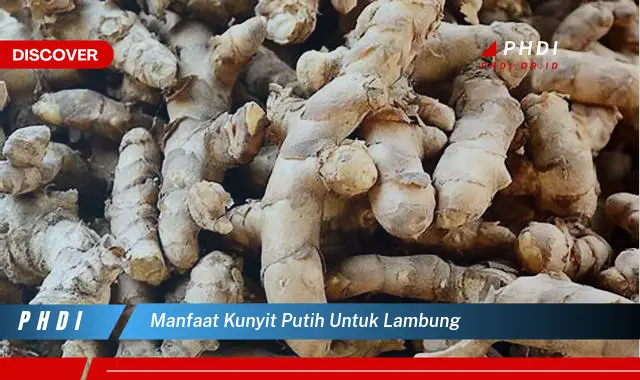 manfaat kunyit putih untuk lambung