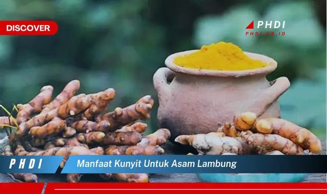 manfaat kunyit untuk asam lambung