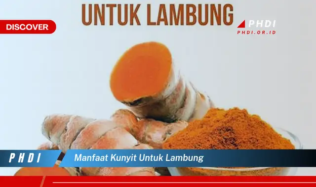 manfaat kunyit untuk lambung