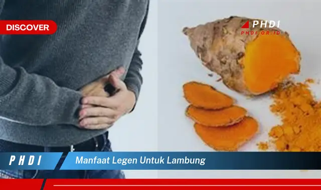 manfaat legen untuk lambung