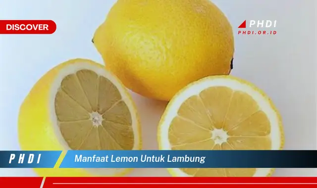 manfaat lemon untuk lambung