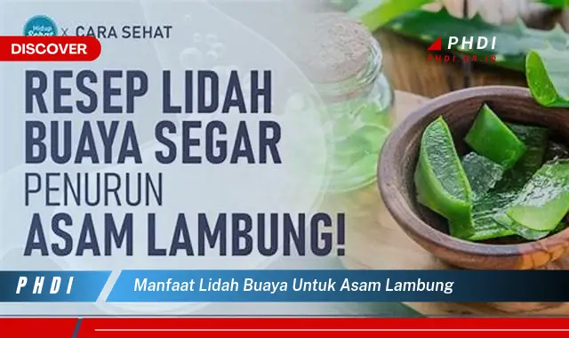 manfaat lidah buaya untuk asam lambung