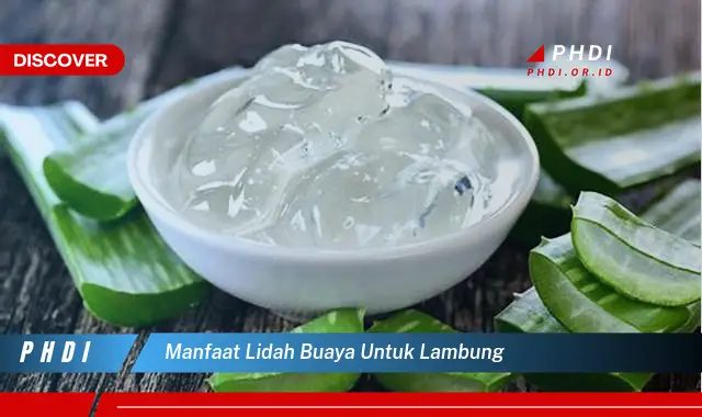 manfaat lidah buaya untuk lambung