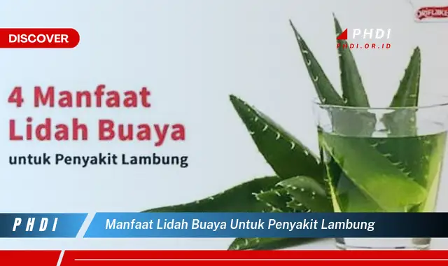 manfaat lidah buaya untuk penyakit lambung