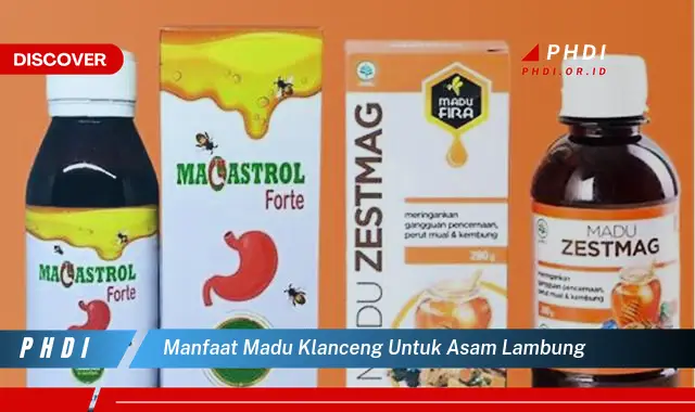 manfaat madu klanceng untuk asam lambung