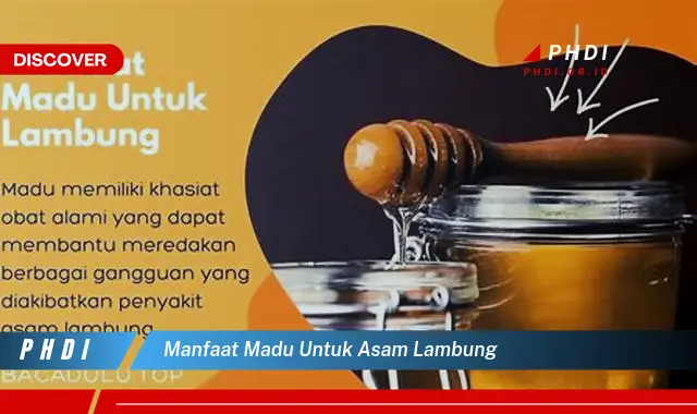 manfaat madu untuk asam lambung