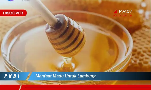 manfaat madu untuk lambung