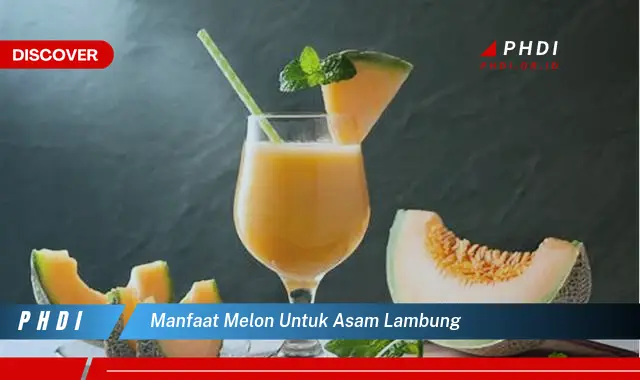 manfaat melon untuk asam lambung