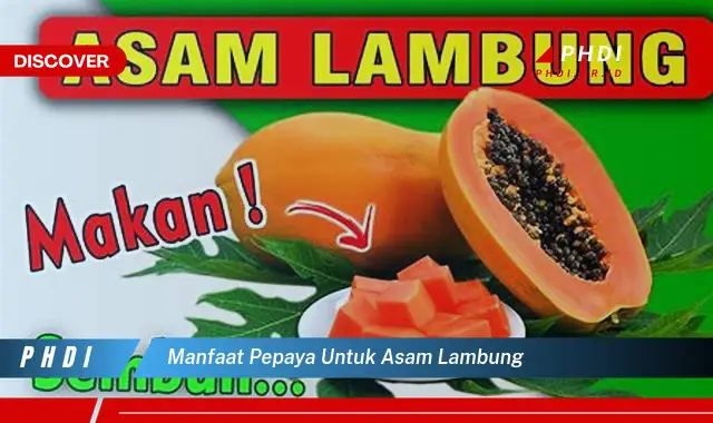 manfaat pepaya untuk asam lambung