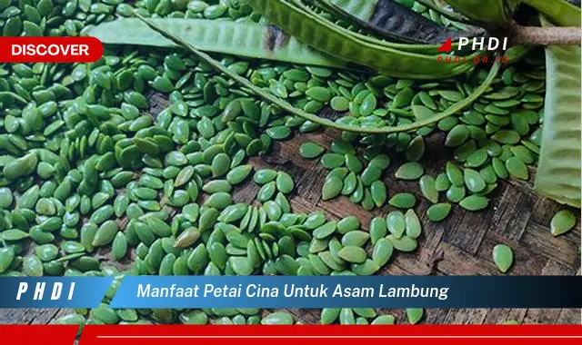 manfaat petai cina untuk asam lambung