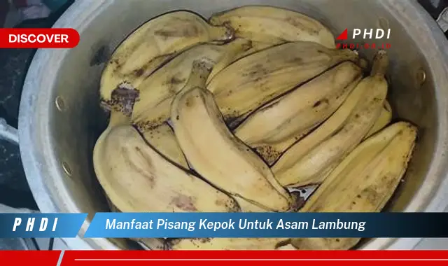 manfaat pisang kepok untuk asam lambung