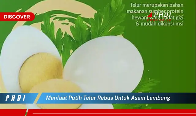 manfaat putih telur rebus untuk asam lambung