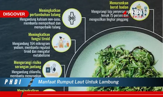 manfaat rumput laut untuk lambung