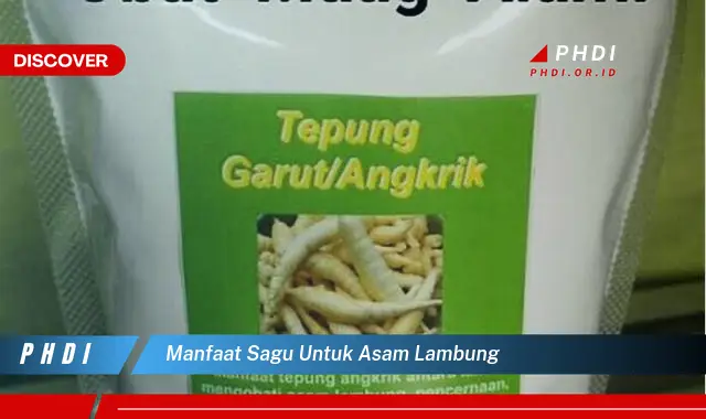 manfaat sagu untuk asam lambung