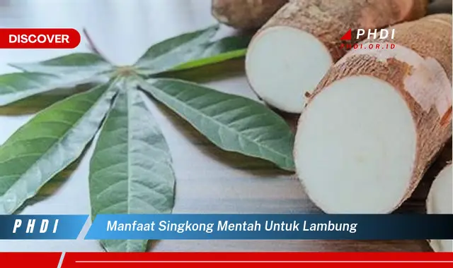 manfaat singkong mentah untuk lambung