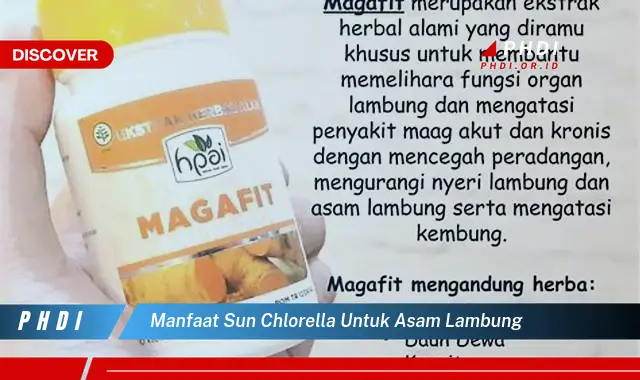 manfaat sun chlorella untuk asam lambung