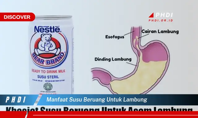 manfaat susu beruang untuk lambung