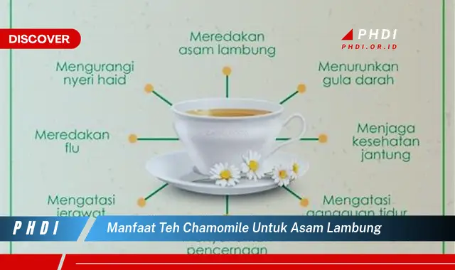 manfaat teh chamomile untuk asam lambung