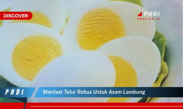 manfaat telur rebus untuk asam lambung