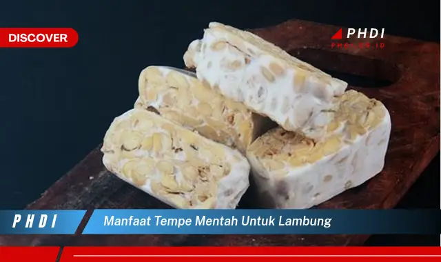 manfaat tempe mentah untuk lambung