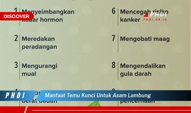 manfaat temu kunci untuk asam lambung