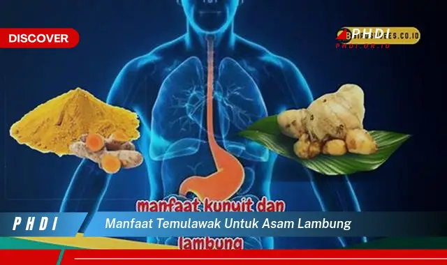 manfaat temulawak untuk asam lambung