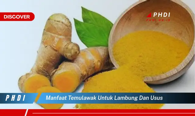 manfaat temulawak untuk lambung dan usus