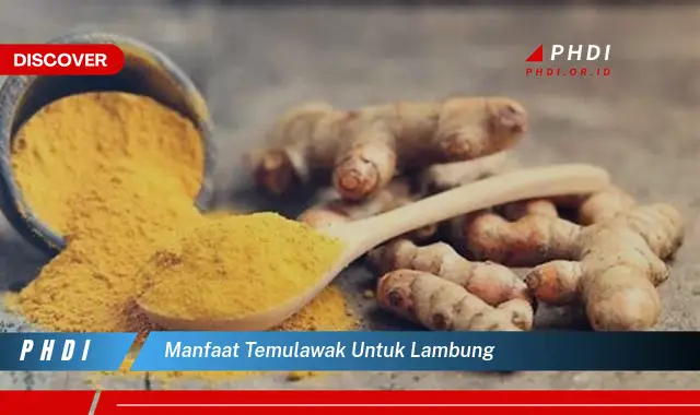 manfaat temulawak untuk lambung