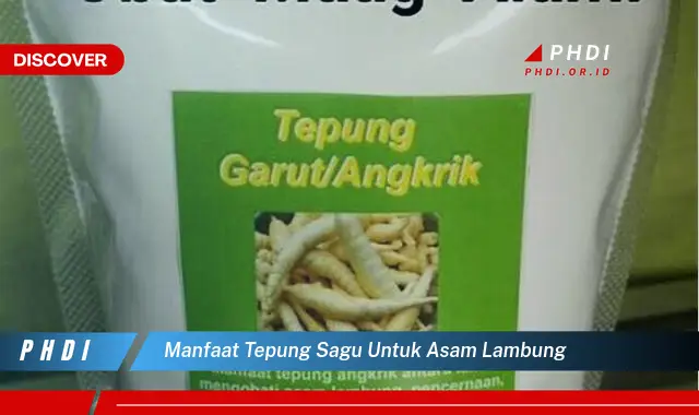 manfaat tepung sagu untuk asam lambung